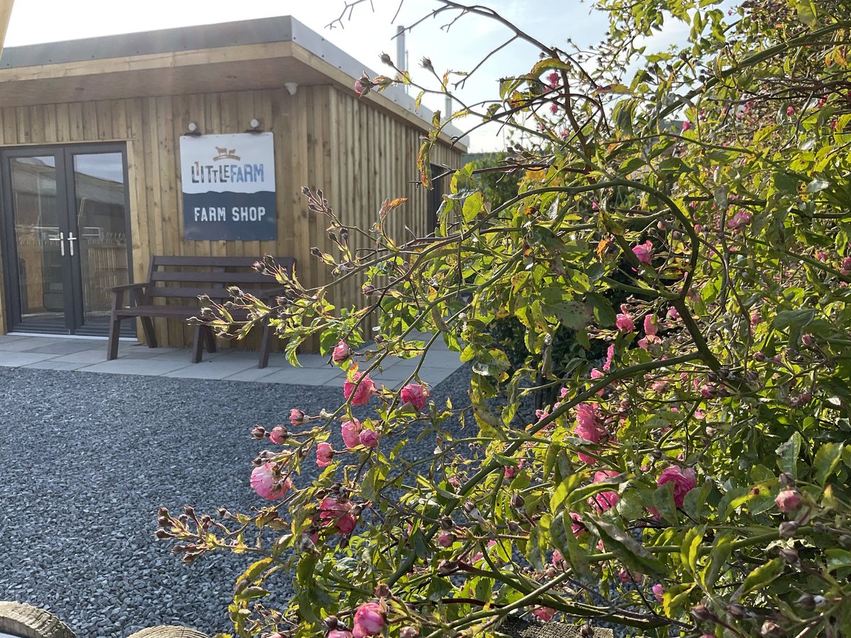 Very excited to introduce 1littlefarm shop. We have embarked on a new venture/adventure, showcasing our own meat and as much local and Scottish produce as we can squeeze in. Coffee and cake, ice cream, cheese and fresh milk are just some of the goodies we will be selling.