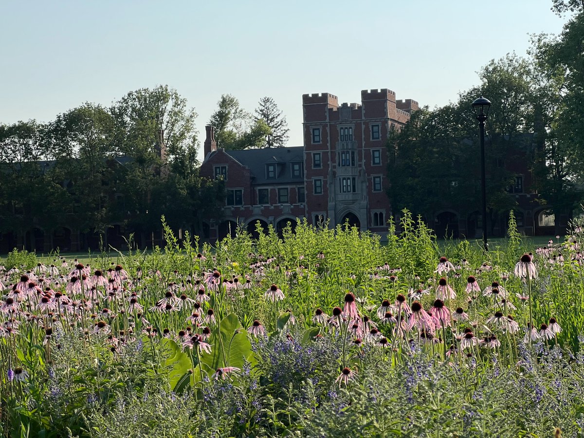 Re:wild Your Campus tweet media
