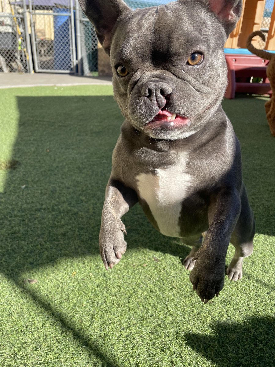 CaptechUS's tweet image. 