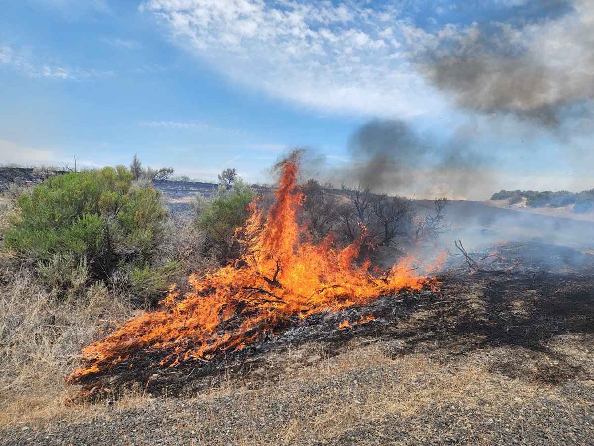 Bureau of Land Management Idaho Fire on Twitter "PowerlineFire Twin Falls District BLM