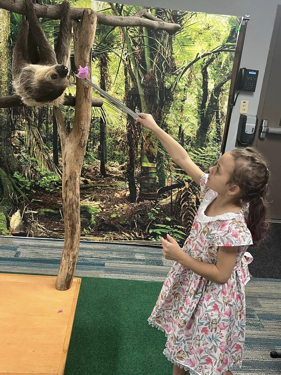 MeetMeAtCalvary's tweet photo. Riley Faith: Riley Faith loves sloths. Praying for Riley Faith. Thank you for praying with me too! Lord we pray for this precious child of Yours.🙏❤️🦥❤️🙏 https://t.co/ZNakGL85X4