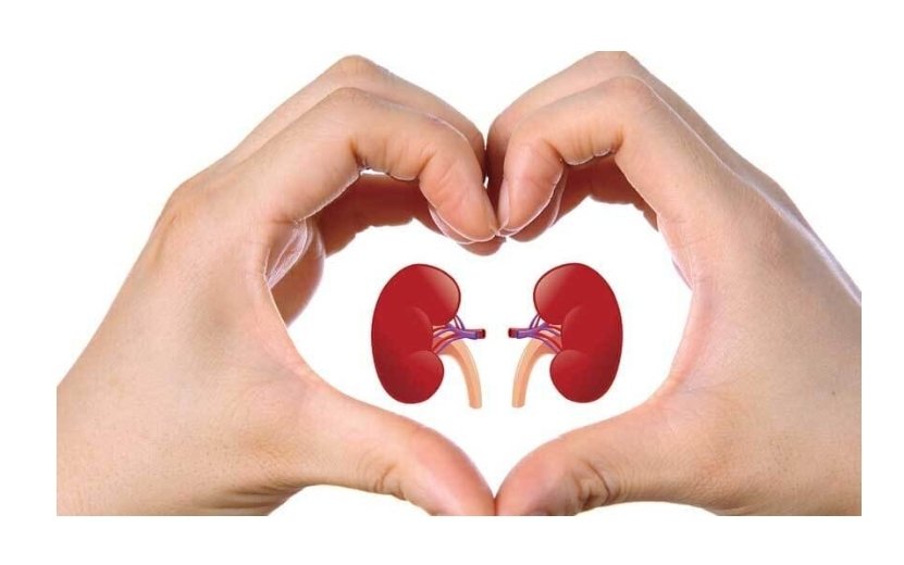 1highrisk's tweet photo. One Kidney, a lifetime of gratitude. 

#ineedakidneytransplant 
https://t.co/su5HjIqSUi https://t.co/J2hvzdVdZK
