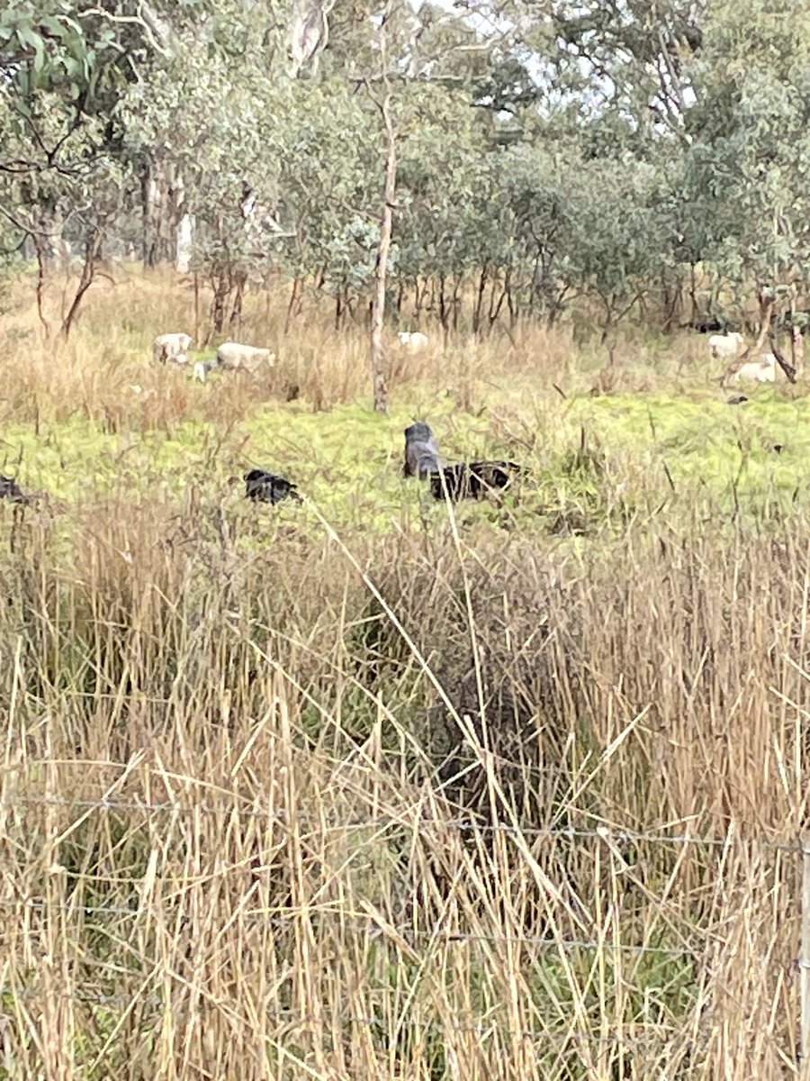 Dean Eastwood tweet media