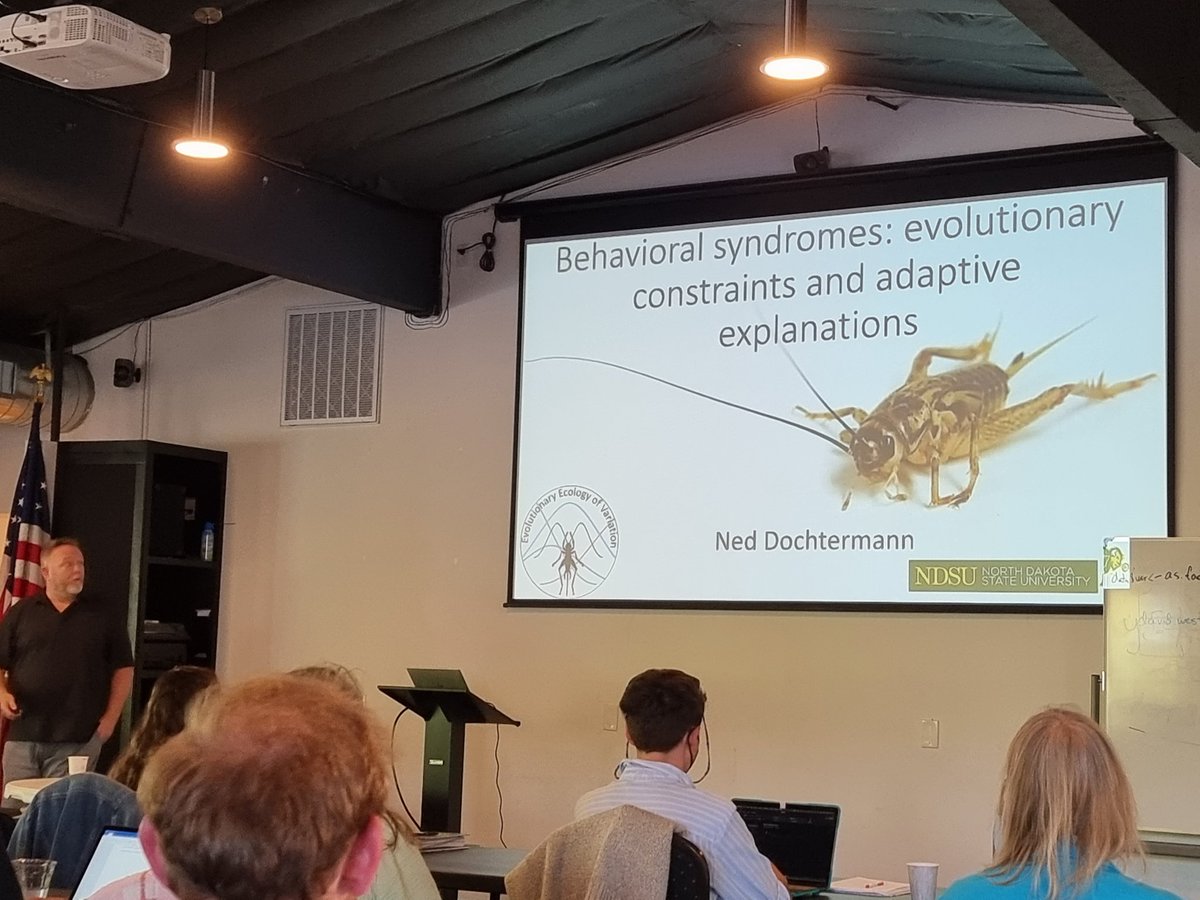 @DochtermannLab giving the first research talk during the Squid-workshop about syndromes, evolutionary constraints, and adaptation