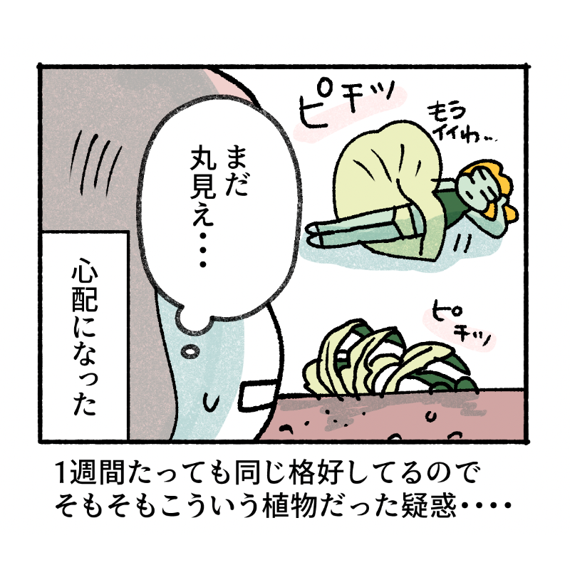 強風の中、ちょっぴり癒された話。 https://t.co/bHIIYQouEE