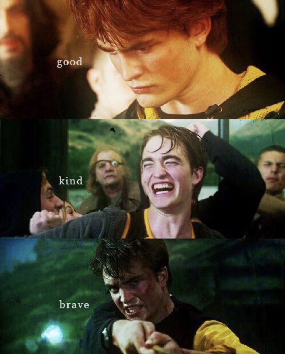 Harry Potter Universe on Twitter "Cedric Diggory Good, kind, and brave."
