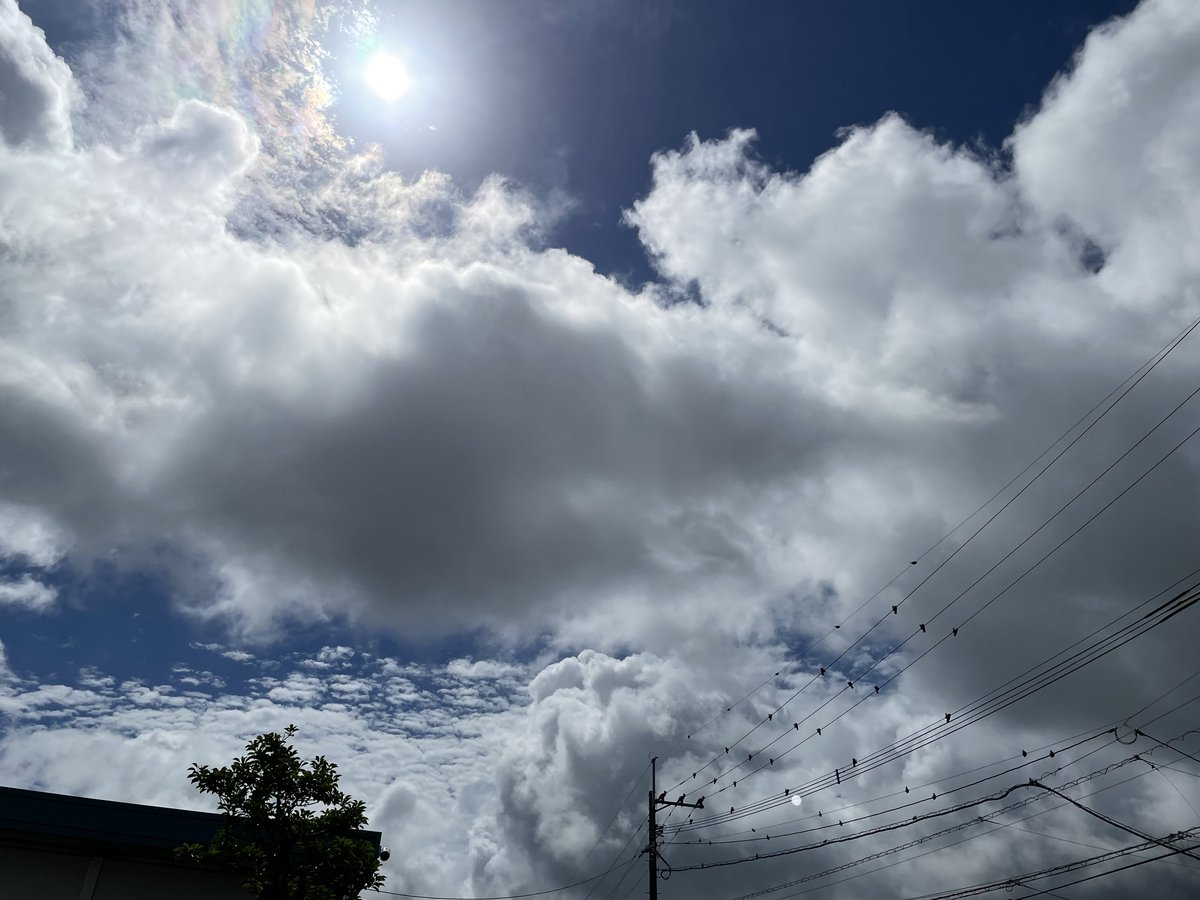 🌈おはようございます🌈

６月２７日（火）朝の　#久留米市 の天気は　
雲が多めの晴れ🌤️ です
雲の切れ間からお日様が…✨✨
きれいですが、暑くなりそうな予感です😎💦

 今日も一日頑張っていきましょう！(๑و•̀ω•́)و✧  

#企業公式が地元の天気を言い合う 
#企業公式相互フォロー