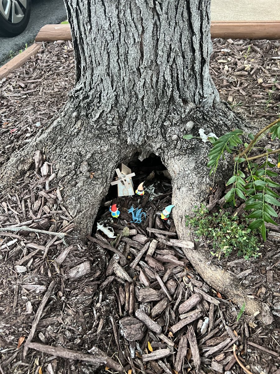 This isn’t a dish, it’s a deep dish. We found this gnome village in Black Thorne village. #TowerGroveSouth