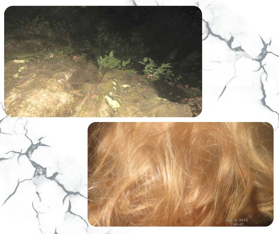 MECrisispod's tweet image. This week, we have a new cohost: Dylan Berger! This week, Madison discusses the disappearances of Lisanne Froon and Kris Kremers. Dylan tells us all about "The Secret," a book by Byron Preiss which describes 12 different riddles which lead to 12 different treasures.