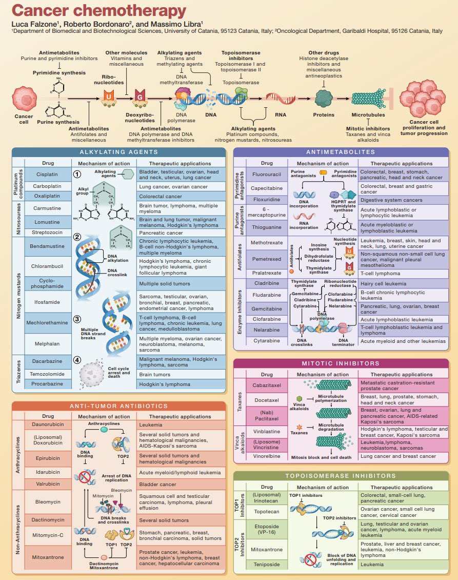 Summary of cancer chemotherapy
#cancer #Oncology #chemotherapy
@CellCellPress
cell.com/cell/fulltext/…