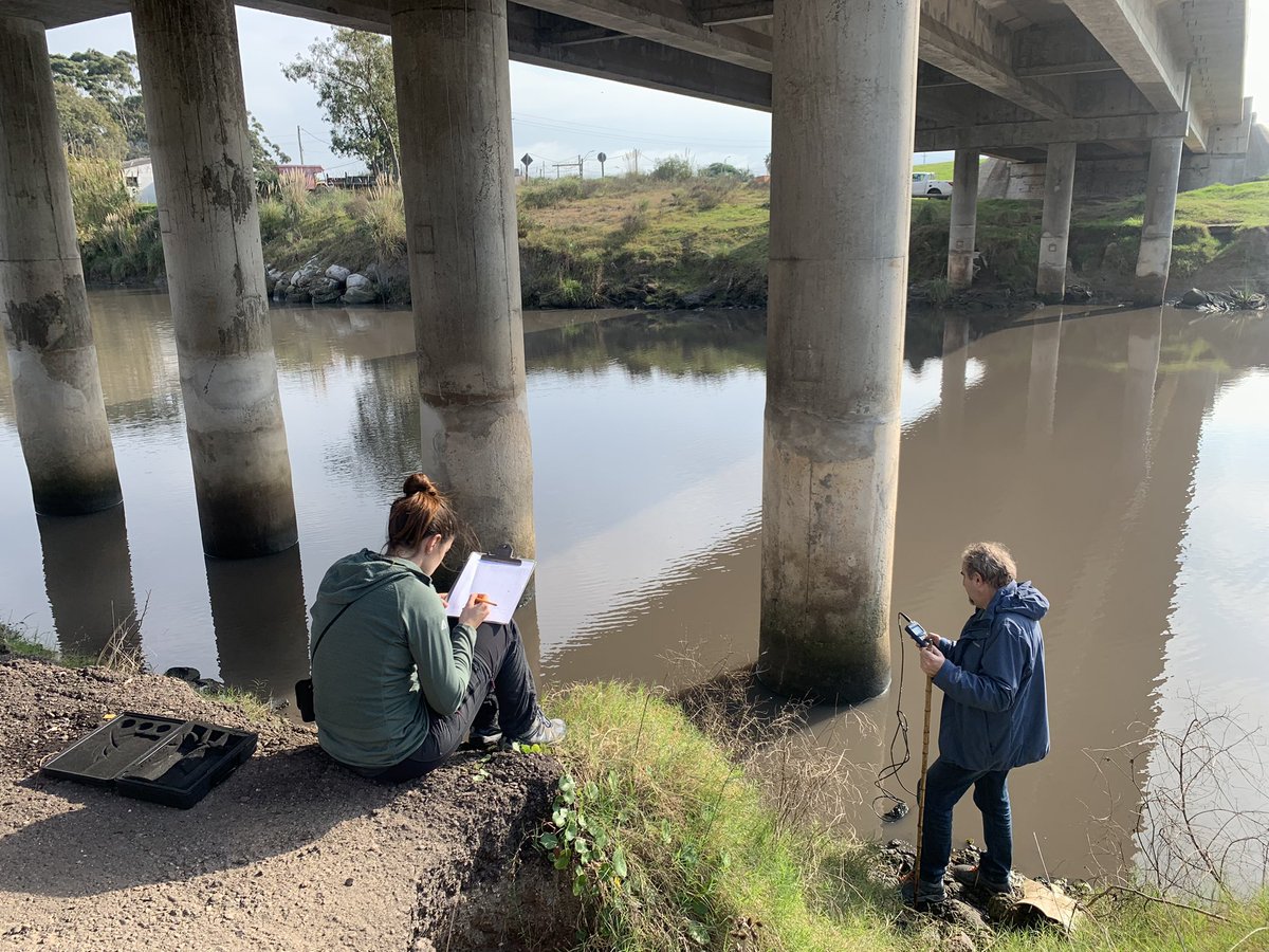 UNDECIMAR (@undecimar) on Twitter photo Hoy realizamos la primera salida del #ProyectoANII Fondo Clemente Estable “Respuestas del sistema cotero La Coronilla-Barra del Chuy a modificaciones en la descarga del Canal Andreoni: bases multidimensionales para cuantificar su resiliencia” <a href="/ANIIuy/">ANII - Uruguay</a> <a href="/FcienUdelar/">Facultad de Ciencias</a> Hoy realizamos la primera salida del #ProyectoANII Fondo Clemente Estable “Respuestas del sistema cotero La Coronilla-Barra del Chuy a modificaciones en la descarga del Canal Andreoni: bases multidimensionales para cuantificar su resiliencia” <a href="/ANIIuy/">ANII - Uruguay</a> <a href="/FcienUdelar/">Facultad de Ciencias</a>