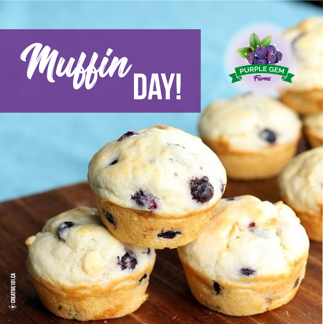 #NationalBlueberryMuffinDay 
Saskatoon berries ARE blue so... make the muffins but use OUR berries instead! 😎👍💜 They'll be extra yummy! 

#SaskatoonBerries #BerriesAlberta #LeducBusiness #BerriesForRestaurants #BerriesForBakeries #BerriesRetail #NaturesLittleGem