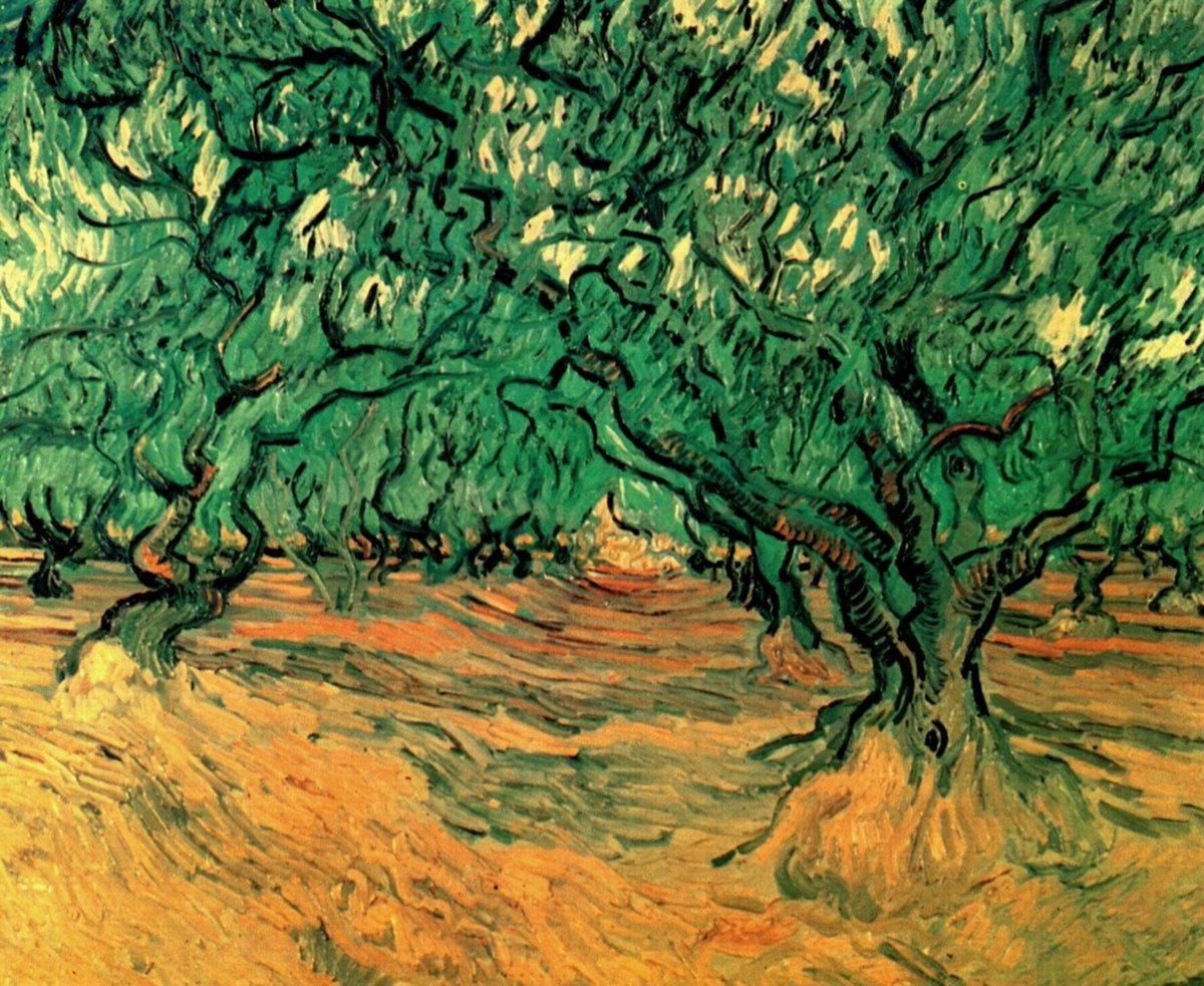 vangoghartist's tweet photo. Olive Trees, 1889 https://t.co/VQTr2gFUTG https://t.co/GPbHNaXisG