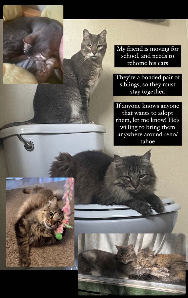 Manang Alex🌿🌞 tweet media