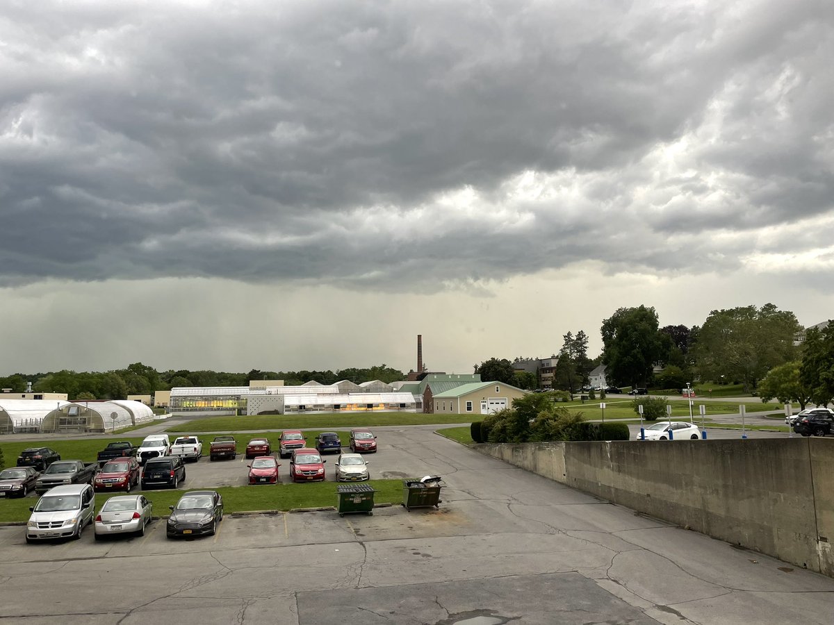 Libby Indermaur tweet media