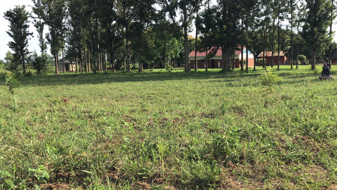 breadenoch's tweet image. Away  finally