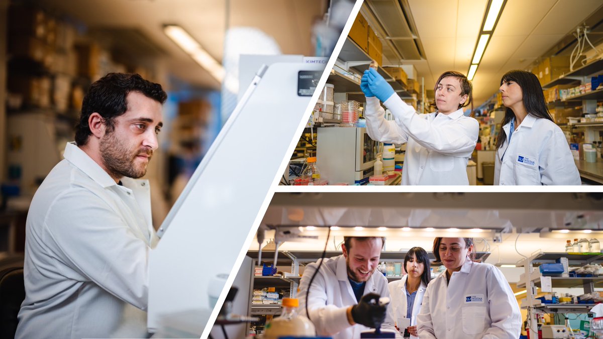 Amelia Escolano (@escolanolab) on Twitter photo We are #hiring! The <a href="/EscolanoLab/">Amelia Escolano</a> is looking for a motivated💪 #ResearchAssistant to join our #VaccineDesign efforts at <a href="/TheWistar/">The Wistar Institute</a>. Wanna know more about the job and us?🤓🌈🌍🔬🧬🧪📩➡️us231.dayforcehcm.com/CandidatePorta… We are #hiring! The <a href="/EscolanoLab/">Amelia Escolano</a> is looking for a motivated💪 #ResearchAssistant to join our #VaccineDesign efforts at <a href="/TheWistar/">The Wistar Institute</a>. Wanna know more about the job and us?🤓🌈🌍🔬🧬🧪📩➡️us231.dayforcehcm.com/CandidatePorta…