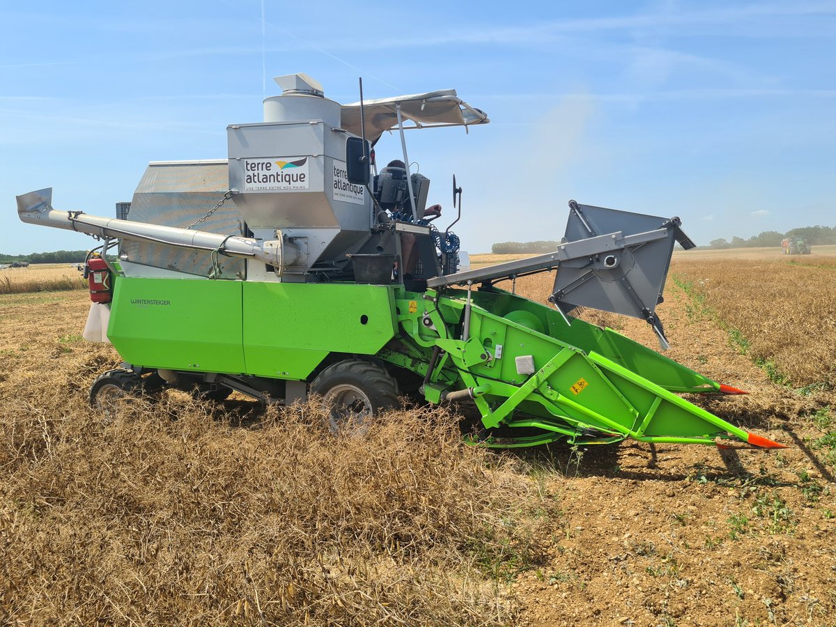 MurielAgri16_17's tweet image. Cette année encore nous avons mis une de nos parcelle à disposition du Service Expérimentation de notre coopérative @TerreAtlantique .
Des micros parcelles de #pois proteagineux, semés mi février sont auj. récoltés✌️
#essaisvarietaux #innovation 
@lacoopagricole @SauzeauVirginie