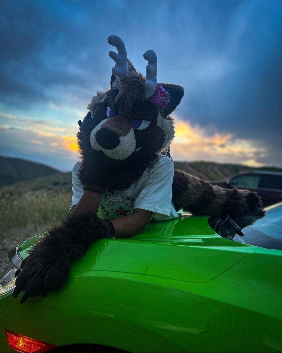🌺 🔞dumb bottom deercoon🔞 @ Home (@naughtypetals_) on Twitter photo Just being cute on top of a cool car, whatcha up to~?
📸: <a href="/Firehouse_k9/">Travis Gsd</a>
#furry #FursuitFriday #furries #furrycommunity #furryfandom #furryraccoon #furrydeer Just being cute on top of a cool car, whatcha up to~?
📸: <a href="/Firehouse_k9/">Travis Gsd</a>
#furry #FursuitFriday #furries #furrycommunity #furryfandom #furryraccoon #furrydeer