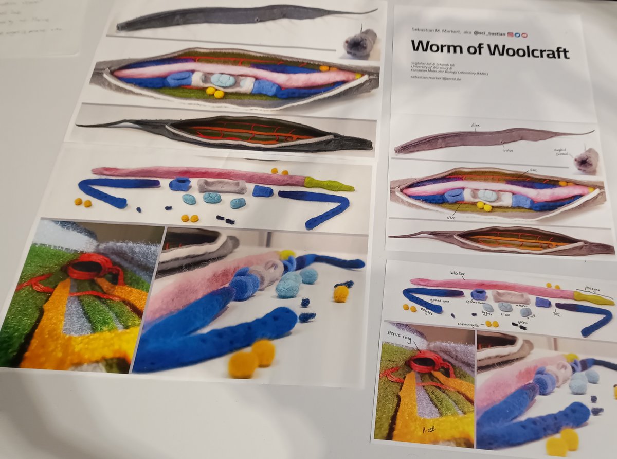 Varsha Singh PhD tweet media