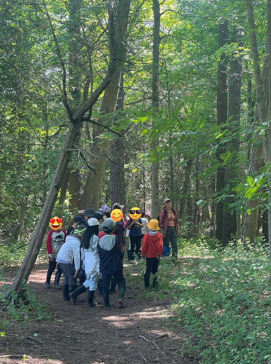 There is nothing better than being outside with friends. These primary students loved their time at Hillside Outdoor Education Centre! 🌳❤️🦁<a href="/TOES_TDSB/">TOES_TDSB</a> <a href="/LC2_TDSB/">Learning Centre 2</a> @LN10Alvarez