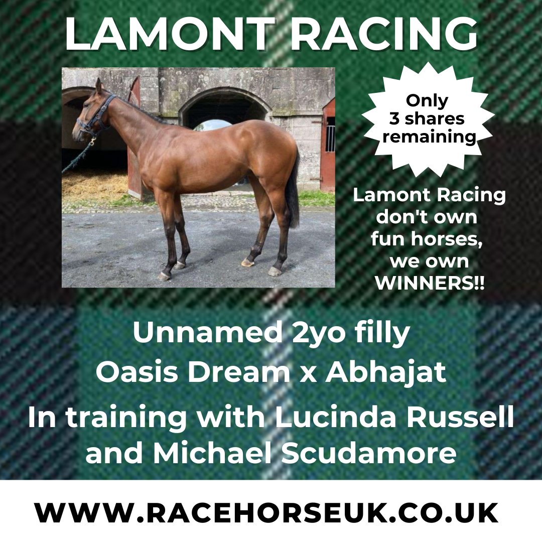 Be quick! @lamontracing only has 3 shares remaining in their pocket rocket Oasis Dream filly. She is due to run in 3/4 weeks and is in training with the dream team of @LucindaRacing and @MichaelScu. racehorseuk.co.uk/horse-detail/?…