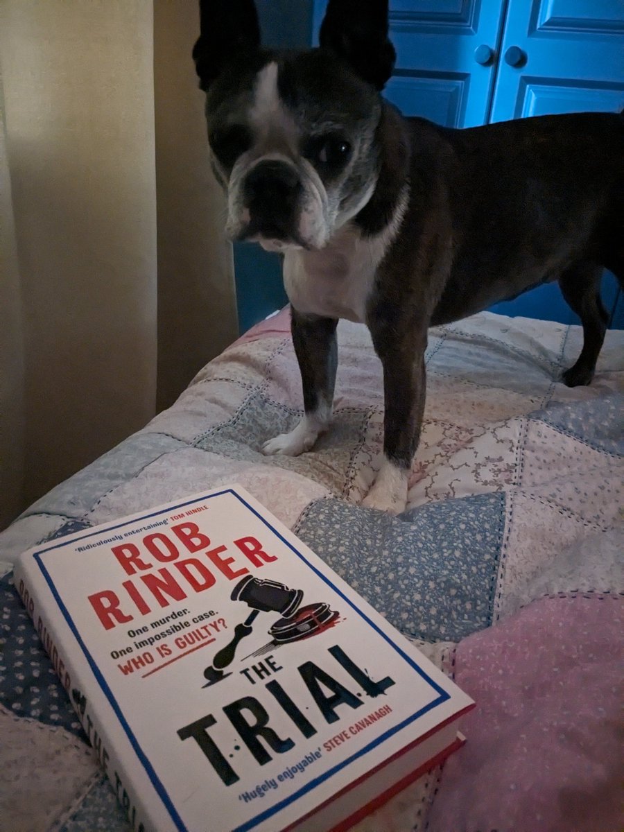TheDearestBook's tweet photo. Brilliant characters, cracking crime thriller. For the dialogue between our cheap suited hero Adam and his mum alone. This is a brilliant read from 
@RobbieRinder. A true Tonic for the woeful days.
#BookTwitter #TheTrial https://t.co/HcSJe5Agv8