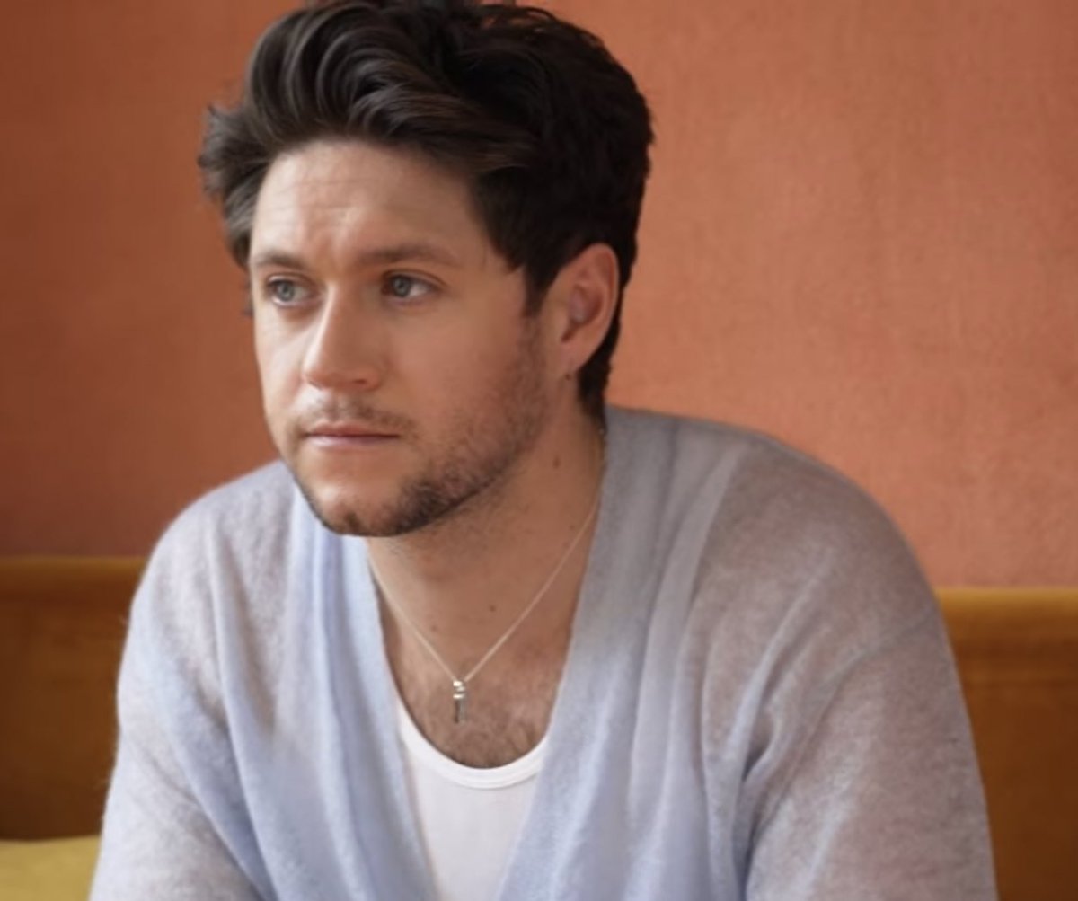 BestpicsofNiall's tweet image. 