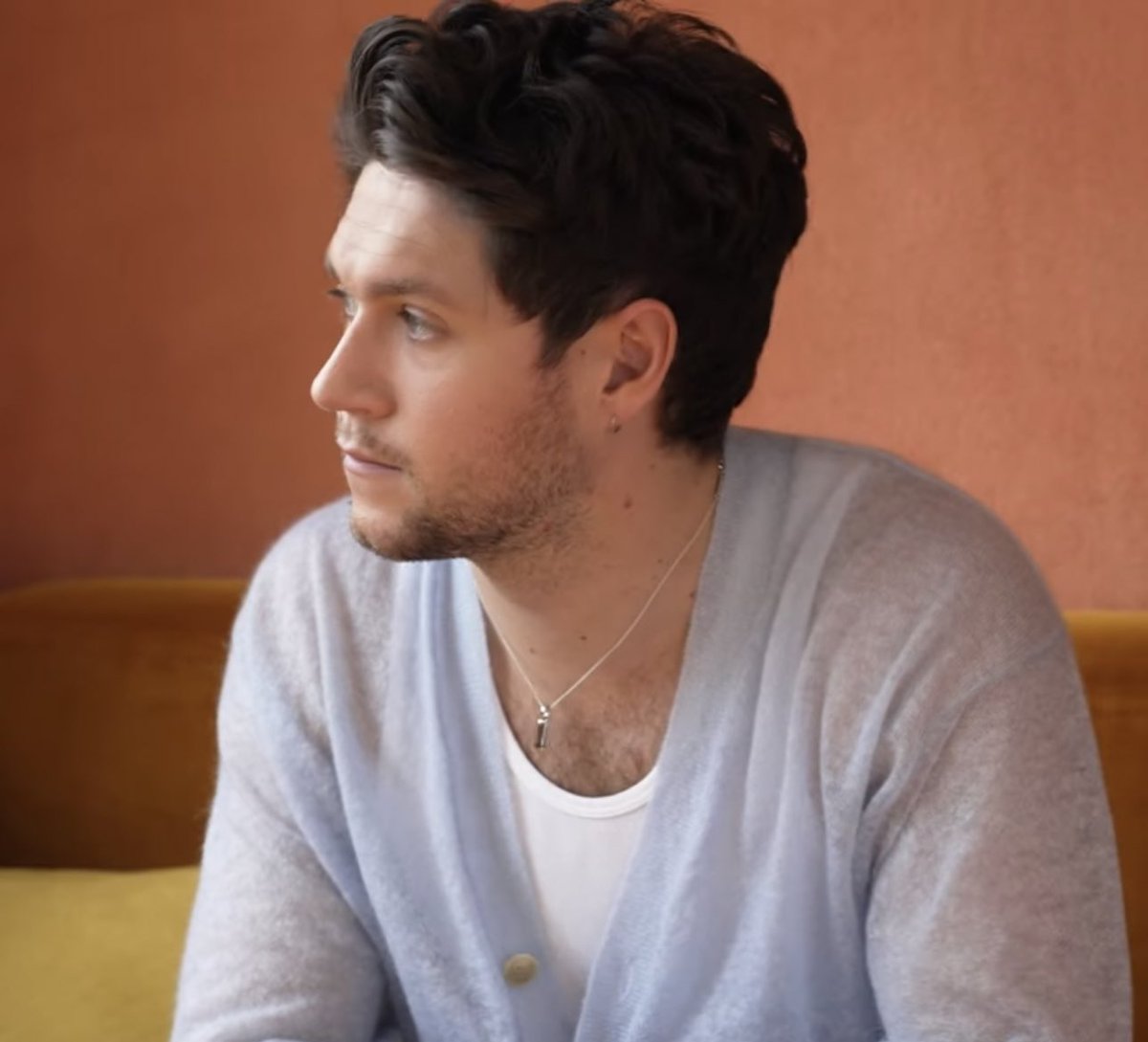 BestpicsofNiall's tweet image. 