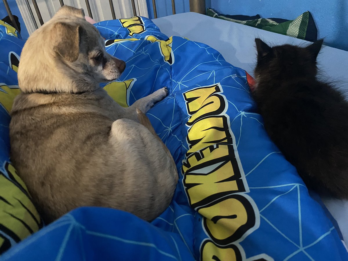 CDude811's tweet image. The newest addition to the Hunter family. Everyone meet Erron.