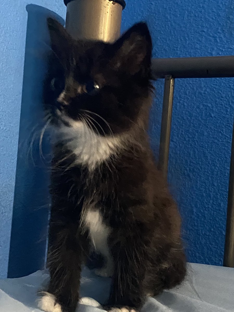 CDude811's tweet image. The newest addition to the Hunter family. Everyone meet Erron.