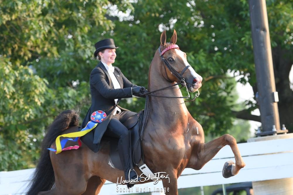 GSS, The Marketing Agency tweet media