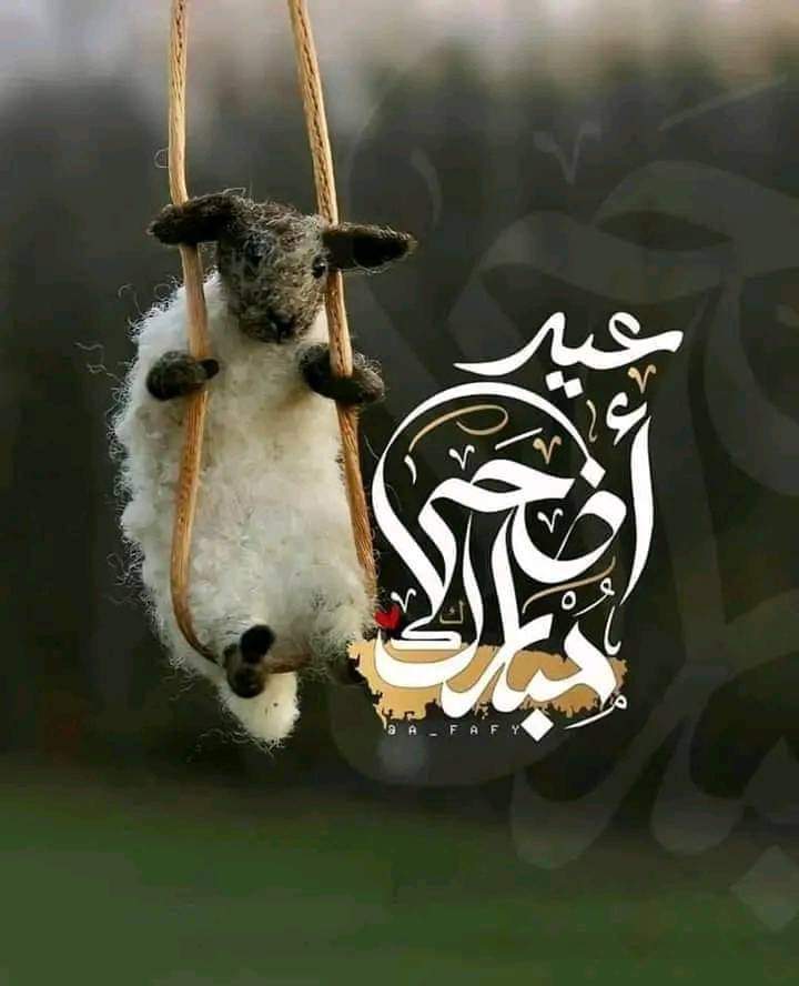 السلام عليكم ورحمه الله وبركاته
كل عام وانتم بخير
إن شاءالله السنة الجاية نبقي علي عرفات جميعاً يارب العالمين