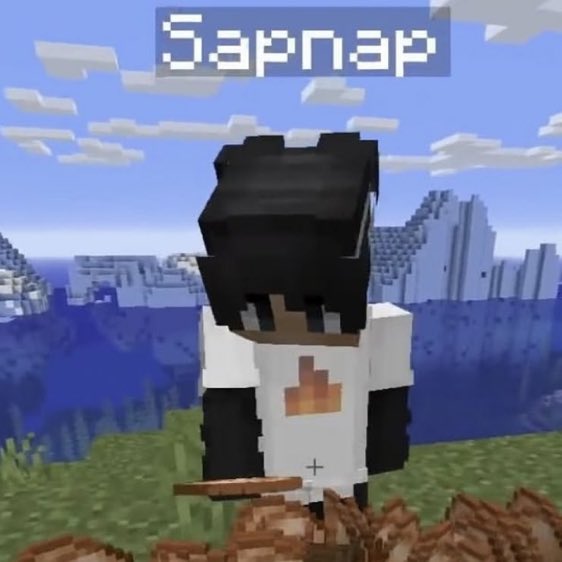 🐼💭 on X: sapnap as his Old minecraft skin wearing the space buns  🐼🫶🏻🩷🌟  / X