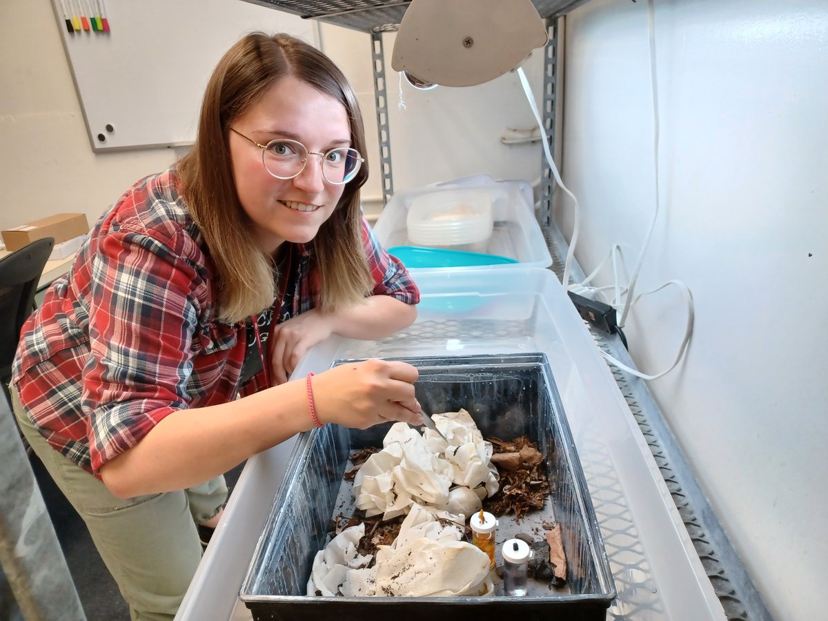 Check out our most recent Graduate Student spotlight on our website! This months spotlight features Sam Dilday!
entomology.wsu.edu/directory/stud…
