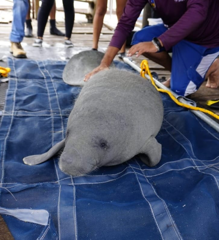 IBANQROO tweet media