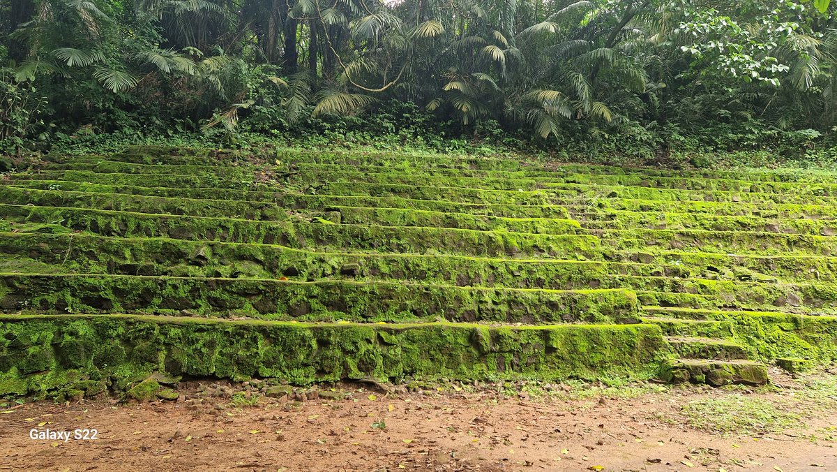At the Limbe Botanic Garden, Cameroon a hebarium for flora and fauna species at the foot of Mount Cameroon 🇨🇲