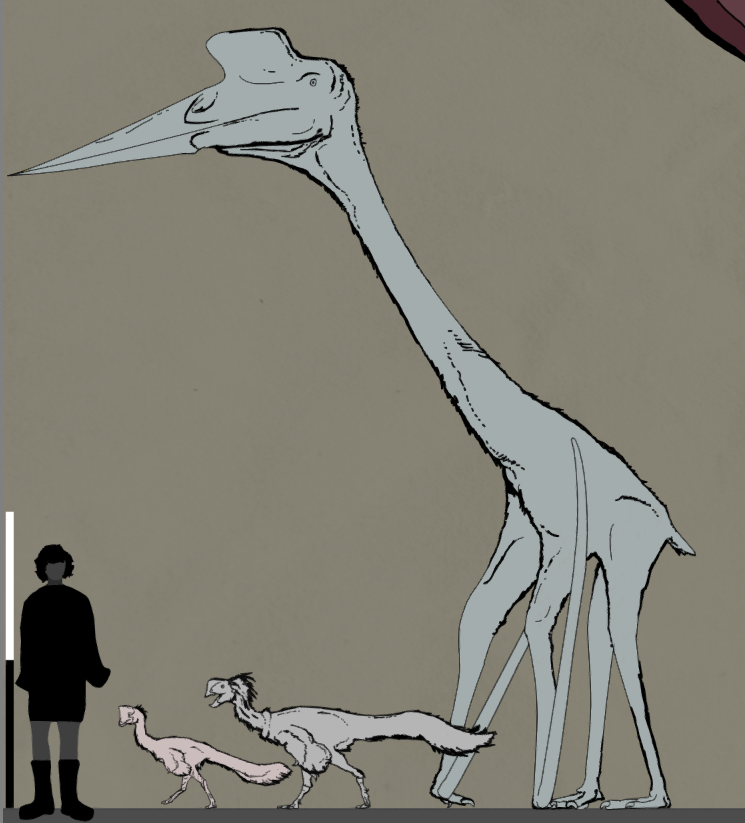 the scary big tall stork thing

#quetzalcoatlus #paleoart #paleontology #pterosaur