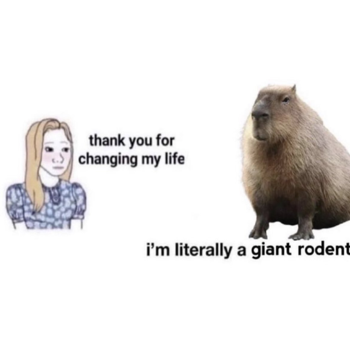 capybaraupdates's tweet image. this one hit hard 😔