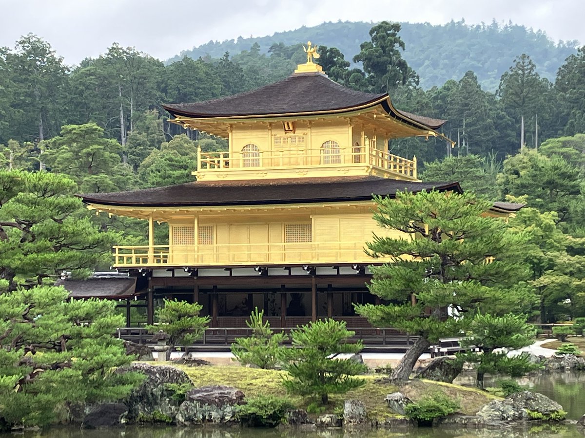 また隙を見て色々なとこ行ってきました。二条城→晴明神社→北野天満宮→鹿苑寺→龍安寺→仁和寺
いい運動と目の保養になりました🥰 https://t.co/GsKeYLHJnn
