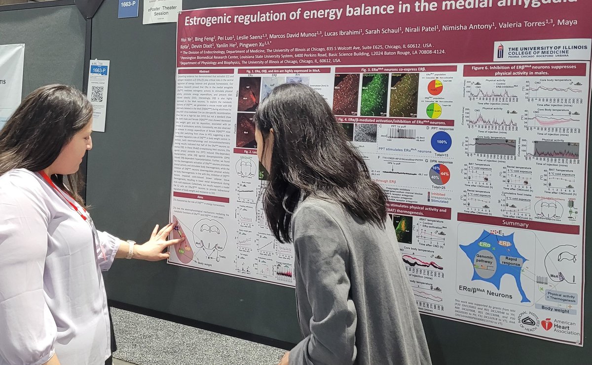Xu Lab (UIC) (@xulab_uic) on Twitter photo Excelent poster presentation by our student Leslie Sáenz at #ADA2023 <a href="/Diabetes_UIC/">UIC Diabetes Center</a> <a href="/XuPingwen/">Pingwen Xu</a> Excelent poster presentation by our student Leslie Sáenz at #ADA2023 <a href="/Diabetes_UIC/">UIC Diabetes Center</a> <a href="/XuPingwen/">Pingwen Xu</a>