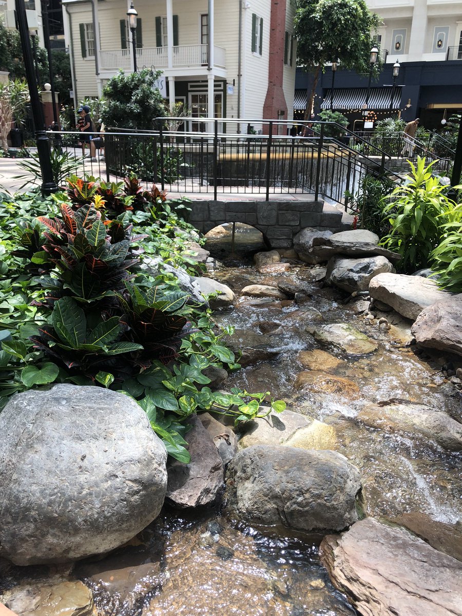 Philip_Cook12's tweet photo. Had a lovely weekend learning about echocardiography at #ASE2023. The conference did an excellent job of being inclusive of many voices including sonographers and veterinarians. Looking forward to future meetings! @UMassCardio @ASE360 https://t.co/ATwICGbzBa