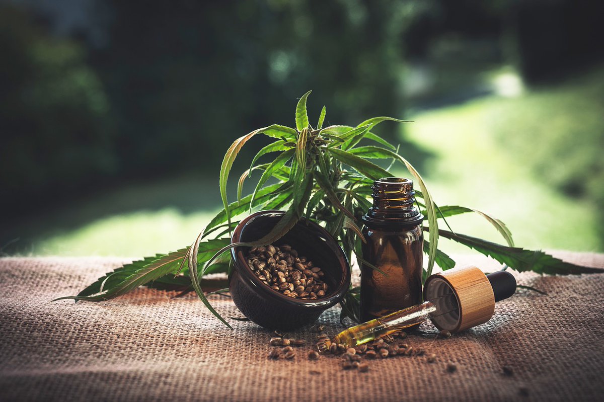 knowblogs's tweet image. CBD (Cannabidiol) hat in den letzten Jahren viel Aufmerksamkeit als potenzielles therapeutisches Mittel auf sich gezogen. Es handelt sich um eine nicht-psychoaktive Verbindung, die in der Cannabispflanze vorkommt. #Canabis #Cannabidiol #CBD #ÖL

knowblogs.net/2023/06/27/vor…