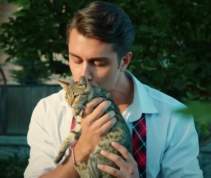 Ven aquí. Pero que bonito eres, mira que ojitos. ¿Vives en nuestro jardín, eh? Ven. Que chiquitito eres. Para, anda, para. Espera, espera, voy a traerte un poco de leche. Espera. Ahora vengo #Hermanos26Jun