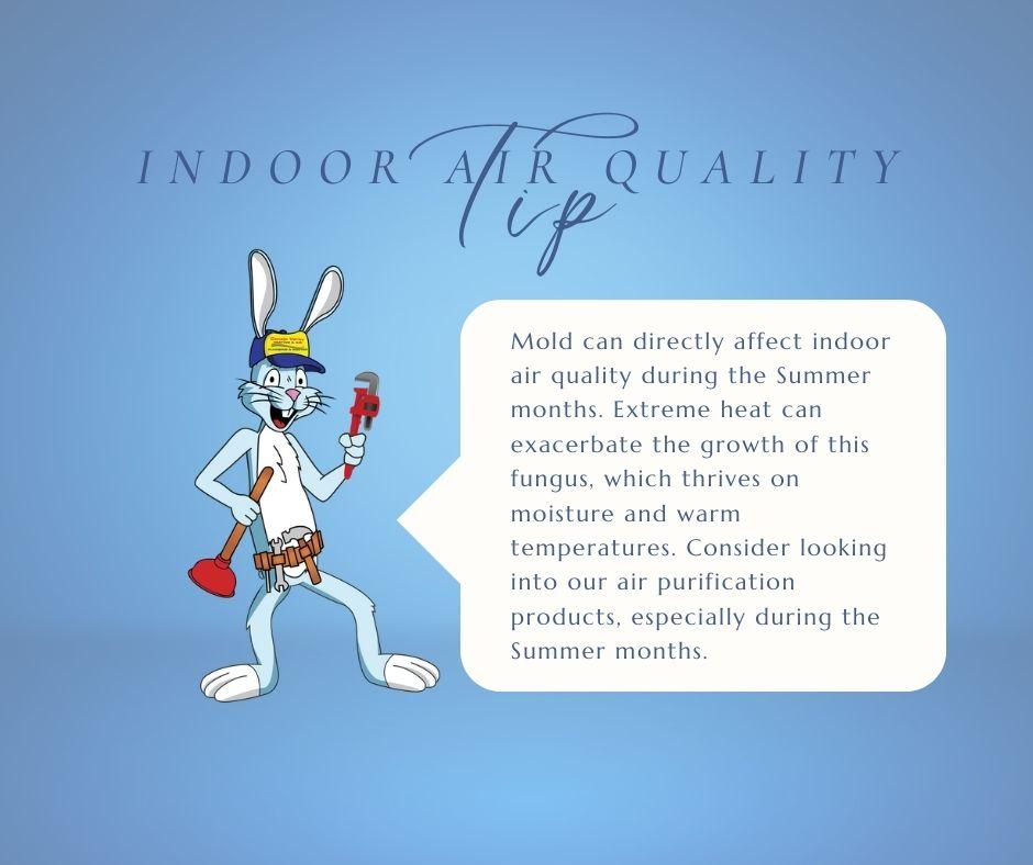 #IndoorAirQualityTip! ✨ Check out our air purification products by visiting our website at conejovalleyair.com/air-purifier-f….

#ConejoValley #HeatingandAir #HVAC #plumbing #HomeInsulation #airconditioningservice #hvacservice #airpurification