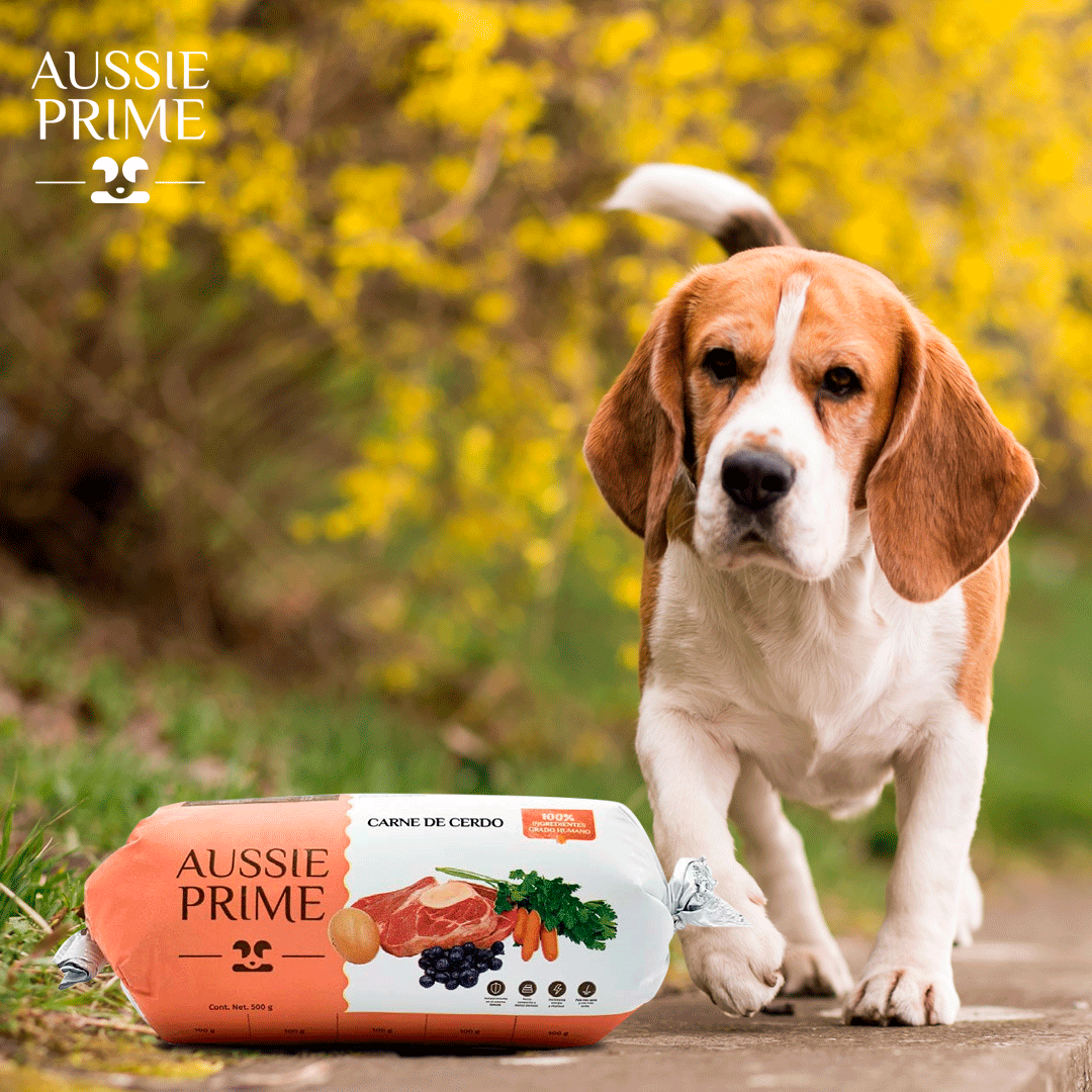Aussie Prime (@prime_aussie) / Posts / X