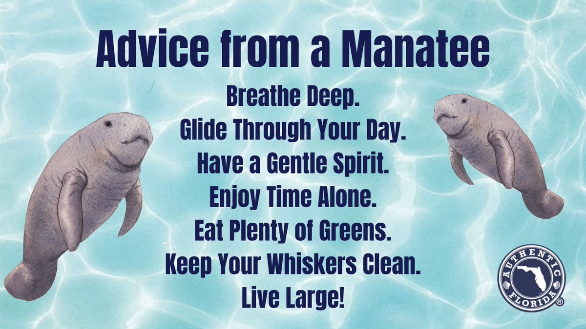 Hope you have been enjoying this #ManateeMonday! 

Have a great week from your friends at AuthenticFlorida.com. 🥰