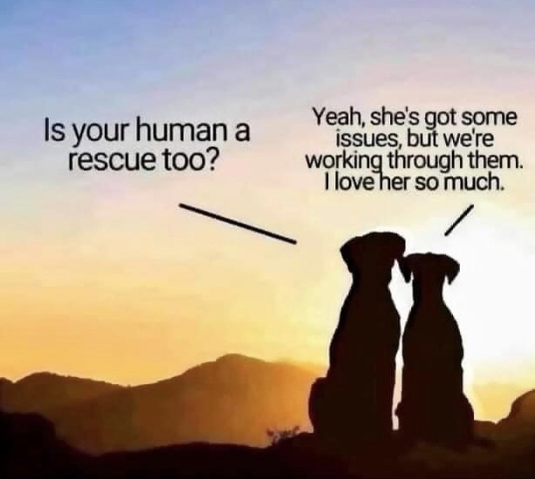 Juliana_Allen's tweet image. Emotion Code healing can help with that!
Give your fur babies a happy healthy human to love.
energyishealing.com
❤️#emotioncode
#bodycode #T3