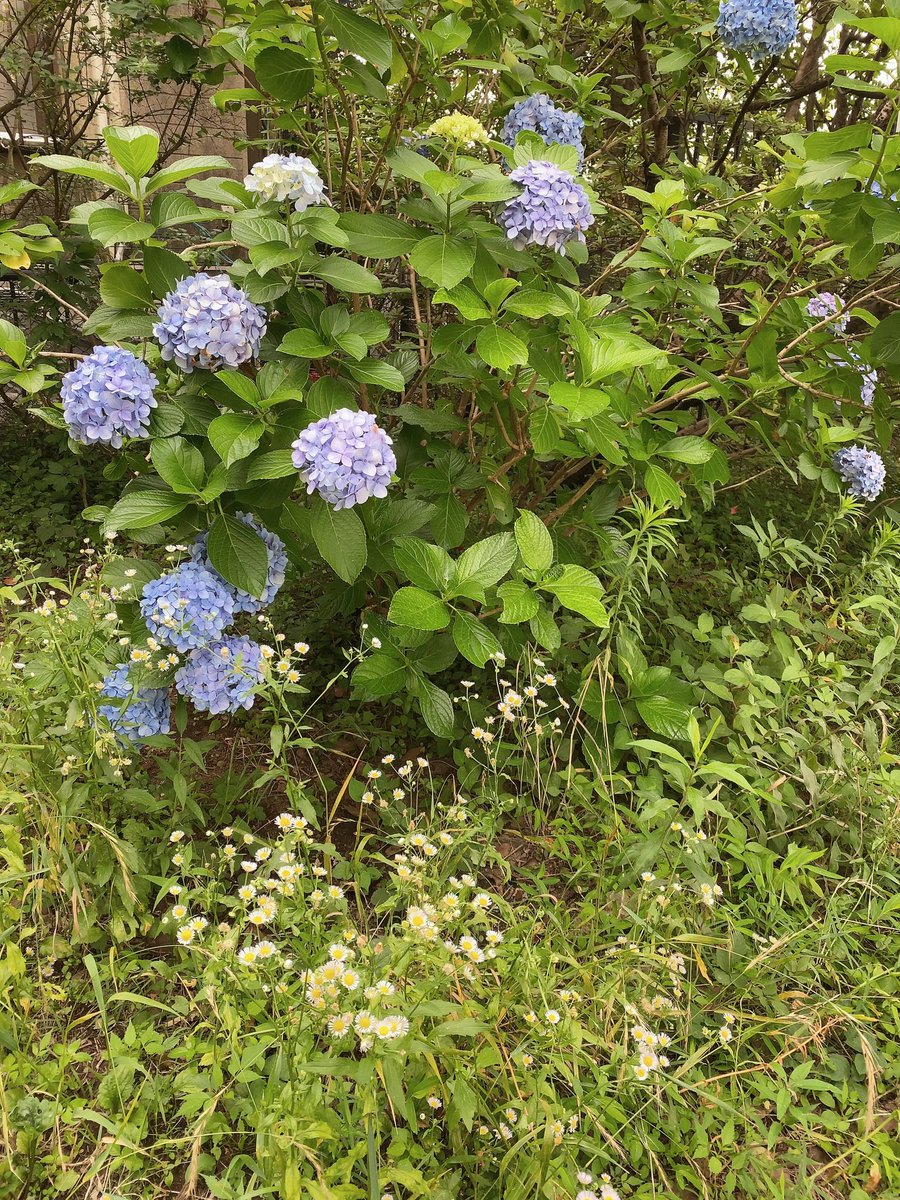 今年もダイエッターになりました。昨日から本格的に食事制限したら、一日で0.8キロくらい減ったので食事の力は大きいなと思った。今日も運動と食事コントロール頑張る💪💪 https://t.co/JwcPin5qas