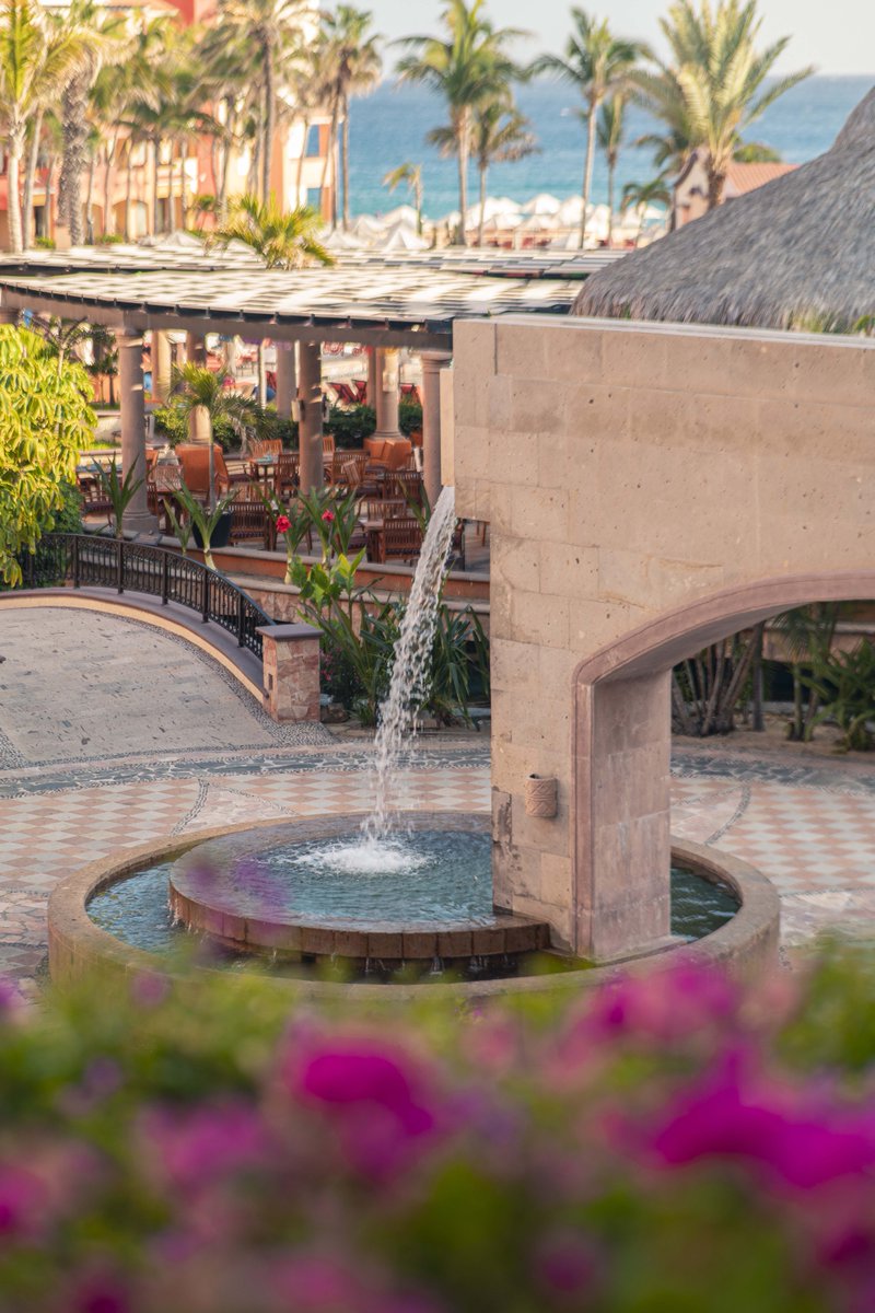 Go ahead, unplug. Let yourself get lost in the beauty of nature and connect to the present moment.🌴